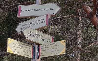 Espectacular ruta para niños del puerto de Canencia a Morcuera