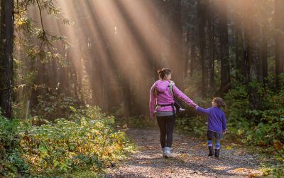 Rutas con niños para hacer por la sierra de Madrid