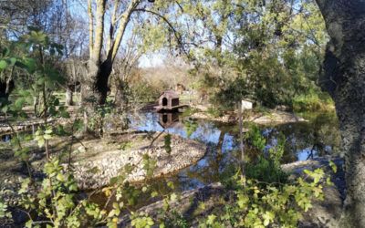 Senda del Arroyo de la Fresneda. Ruta sencilla en Madrid para ir con niños