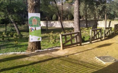 Divertida ruta ‘Los árboles hablan’ para niños en Villaviciosa de Odón