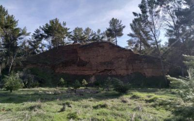 Ruta en familia por Los Cerros de Alcalá