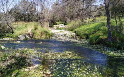 Senda de Los Molinos. Ruta circular con niños en Navalagamella