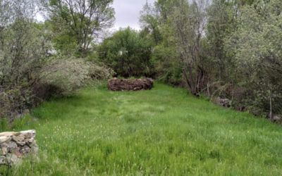 Ruta circular con niños en Fresnedilla de la Oliva. Senda de La Puente