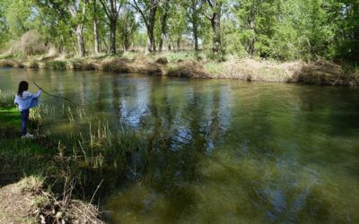 La ruta de San Fernando de Henares para disfrutar en familia