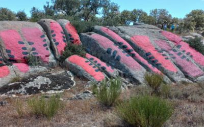 Museo Ibarrola en Garoza. Arte y naturaleza para niños al aire libre