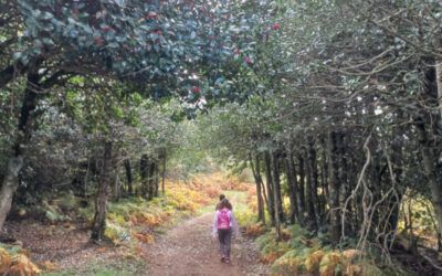 Ruta corta del Acebal para ir con niños- Sendas de otoño