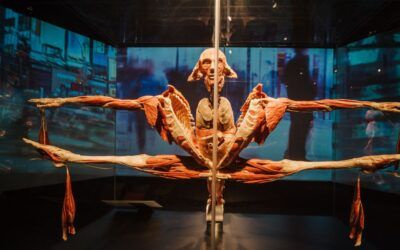 Body Worlds, la exposición que explica a los niños el cuerpo humano