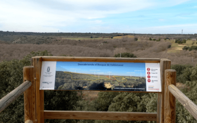 Ruta con niños por el Bosque de Valdenazar en Yebes, Guadalajara