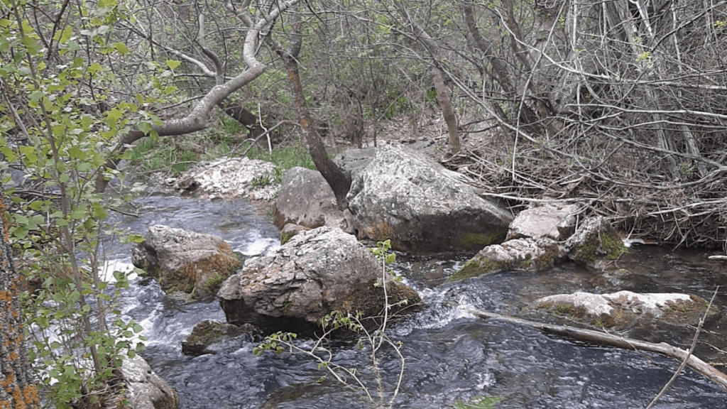 la ruta por el parque natural barranco del río Dulce