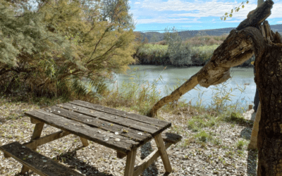 Área recreativa de Villamanrique del Tajo. Un lugar ideal para un día de pícnic con niños