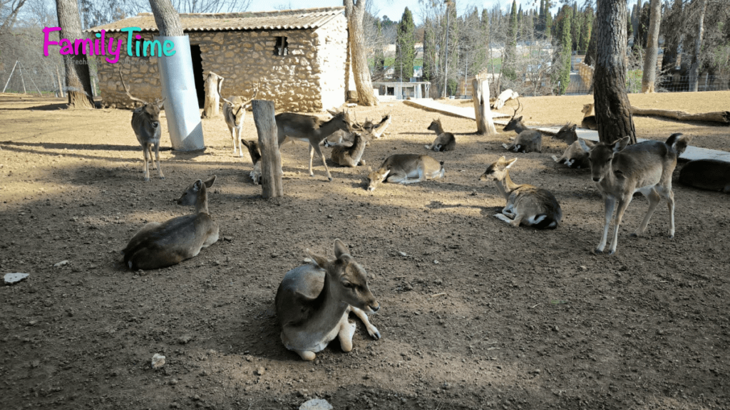 especies silvestres en el zoo de guadalajara