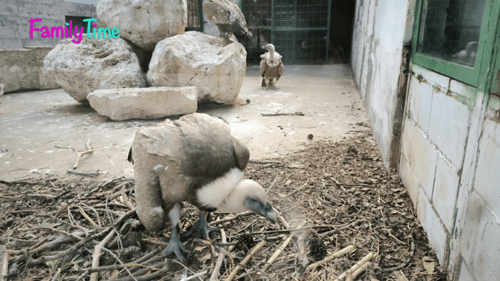 zoológico de guadalajara