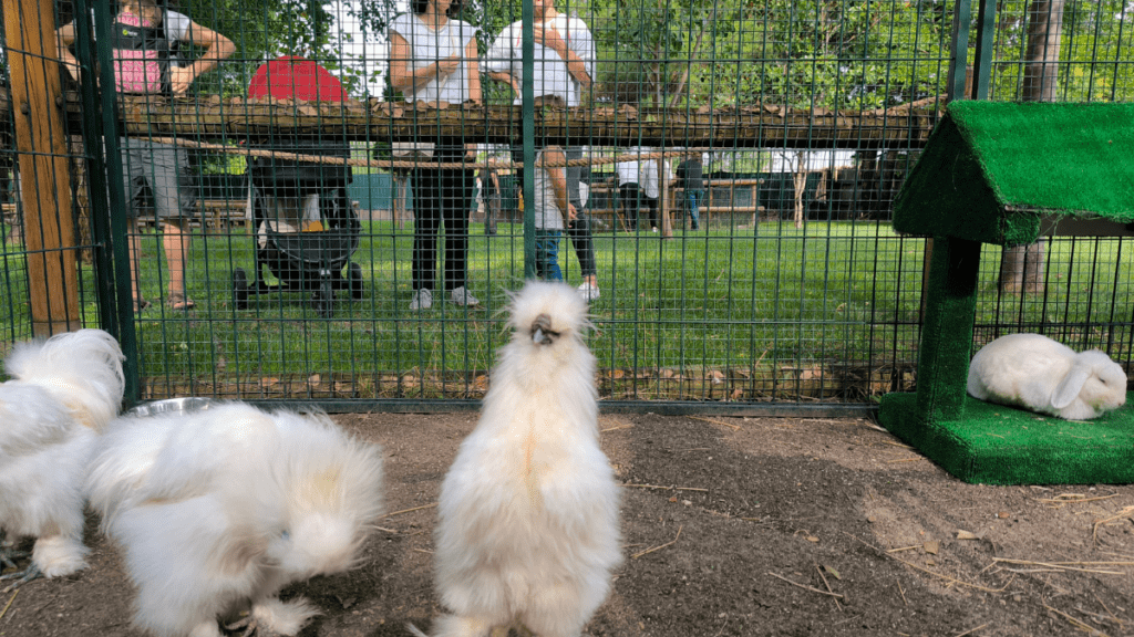 Fauna Aventura en Parque Europa