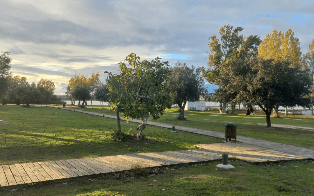 Embalse de Cazalegas. Plan al aire libre en familia