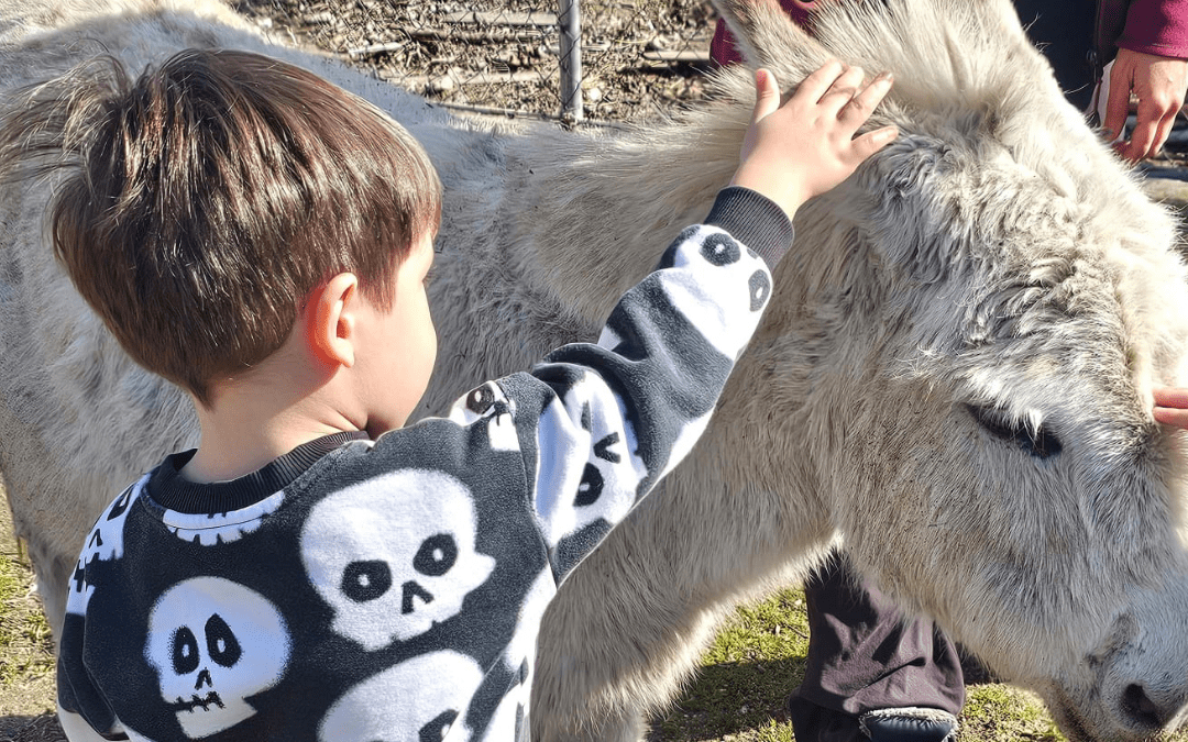 animales en ecoterranea