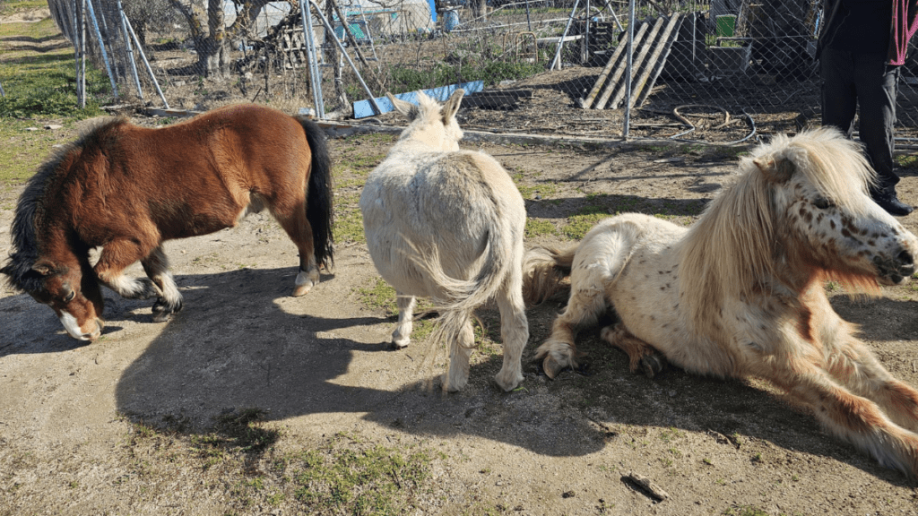 plan en familia en la naturaleza